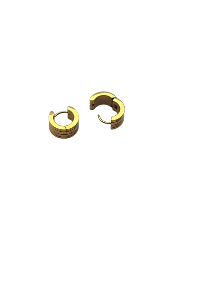Steel Earring