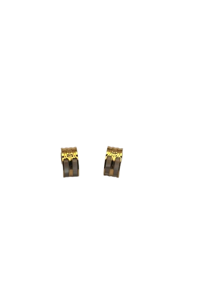 Steel Earring
