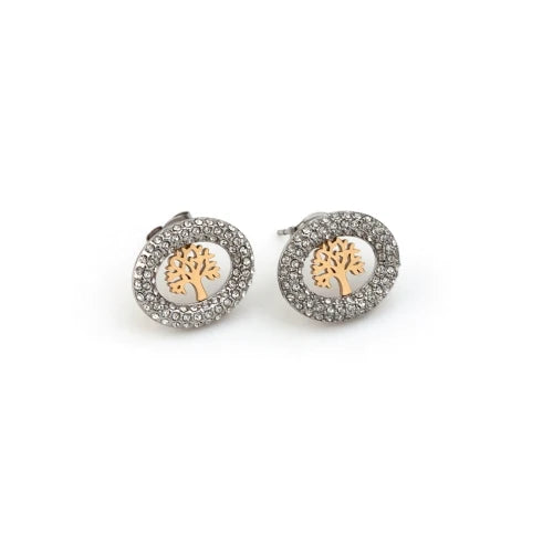 Steel Earring with Zirconias